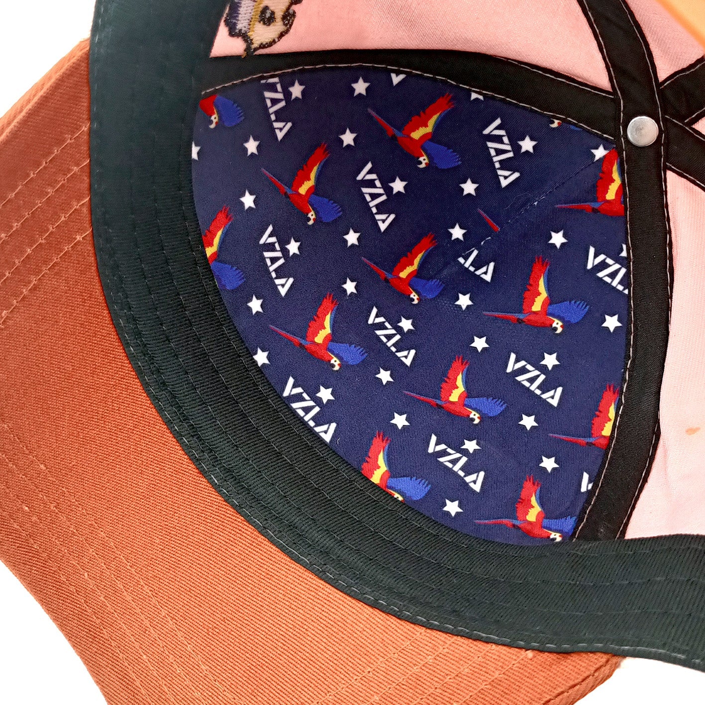 Gorra VZLA x DMC I #240911 I V11