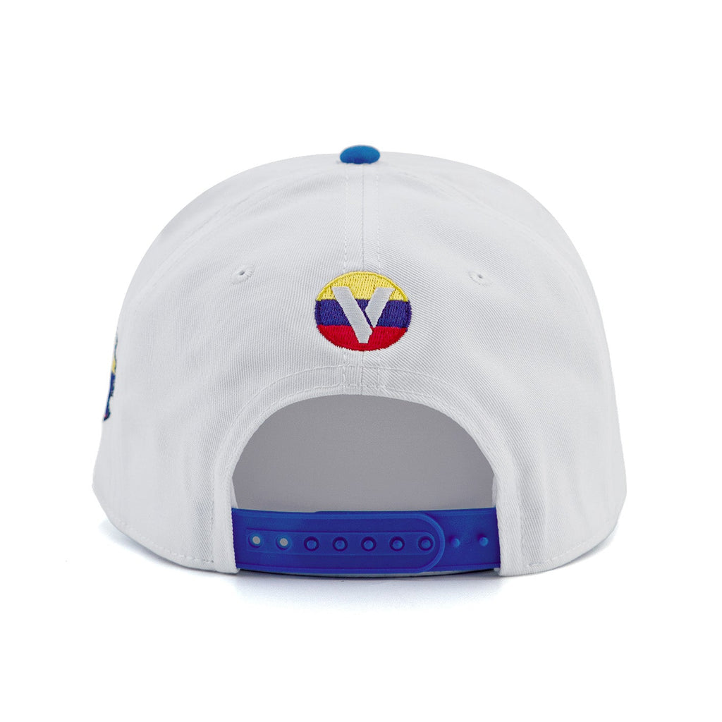Gorra VZLA x DMC I #240913 I V13