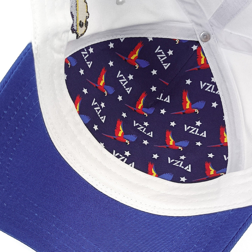 Gorra VZLA x DMC I #240913 I V13