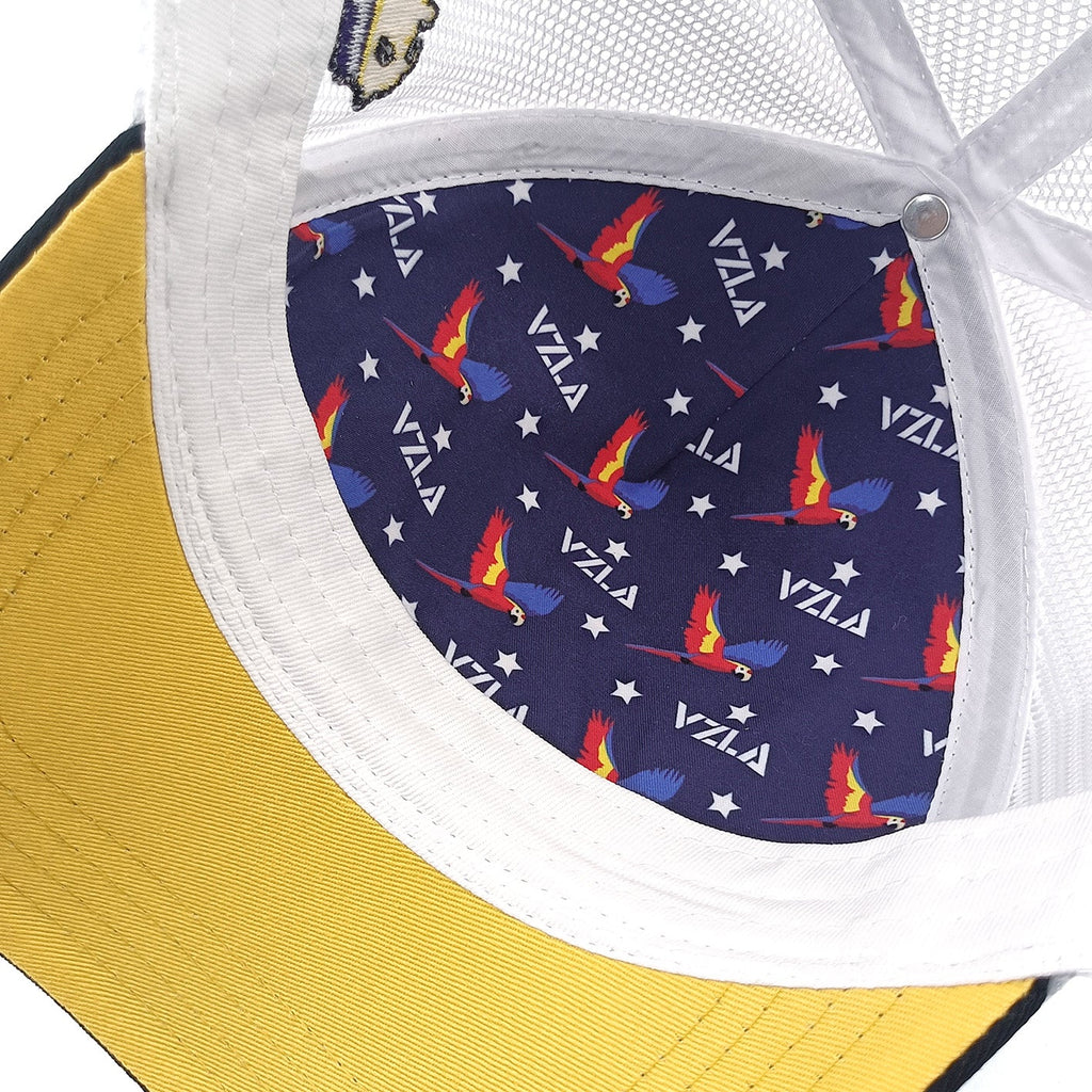 Gorra VZLA x DMC I #240914 I V14