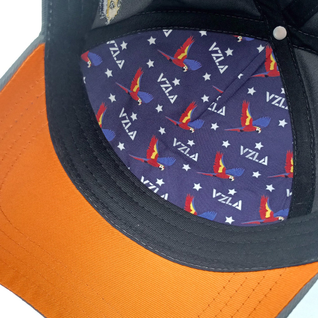 Gorra VZLA x DMC I #240915 I V15