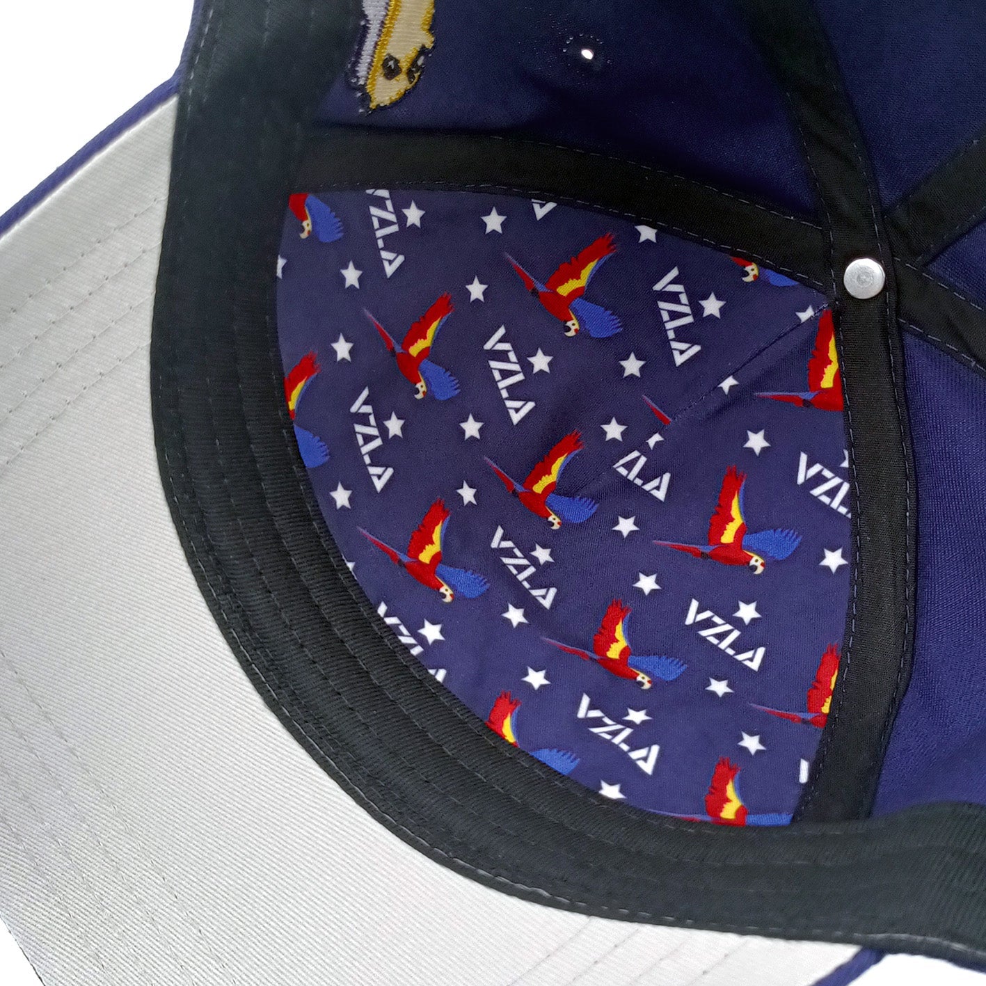 Gorra VZLA x DMC I #240901 I V1