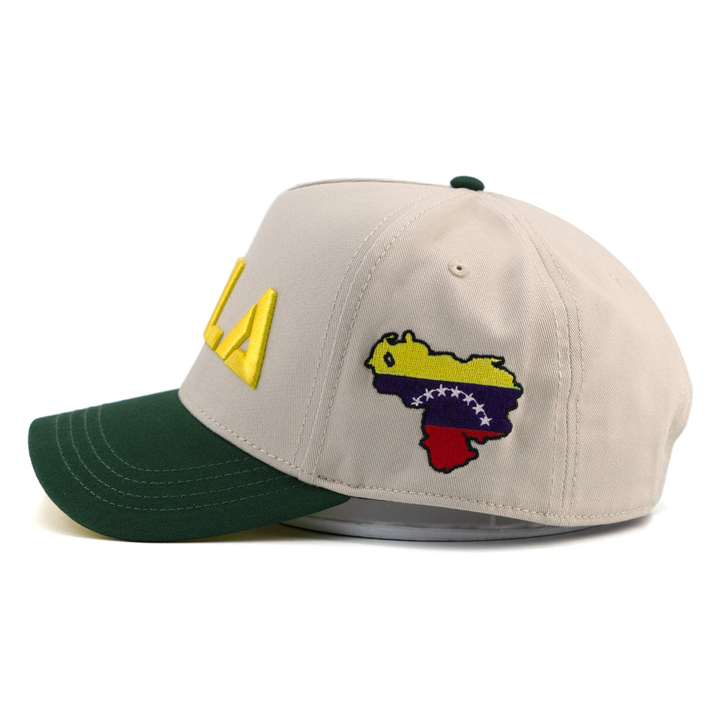 Gorra VZLA x DMC I #240905 I V5