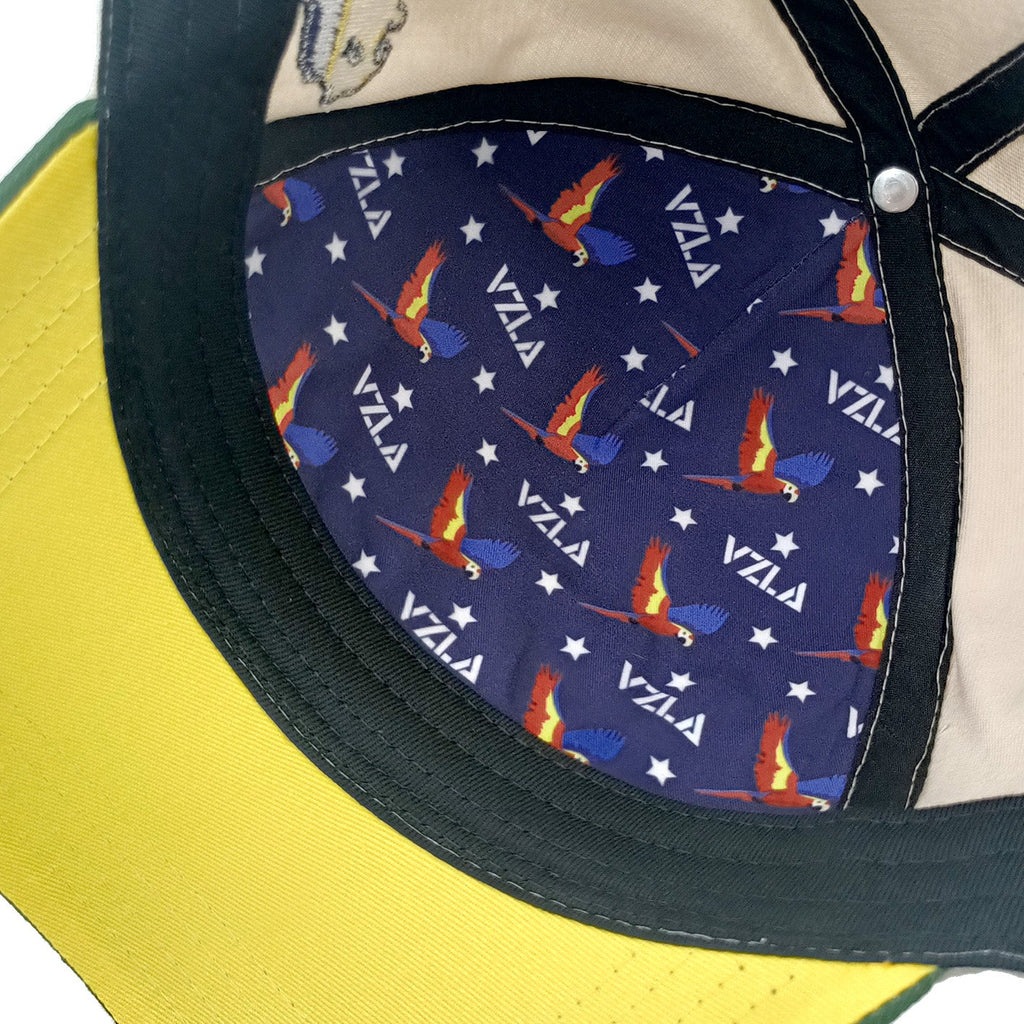 Gorra VZLA x DMC I #240905 I V5