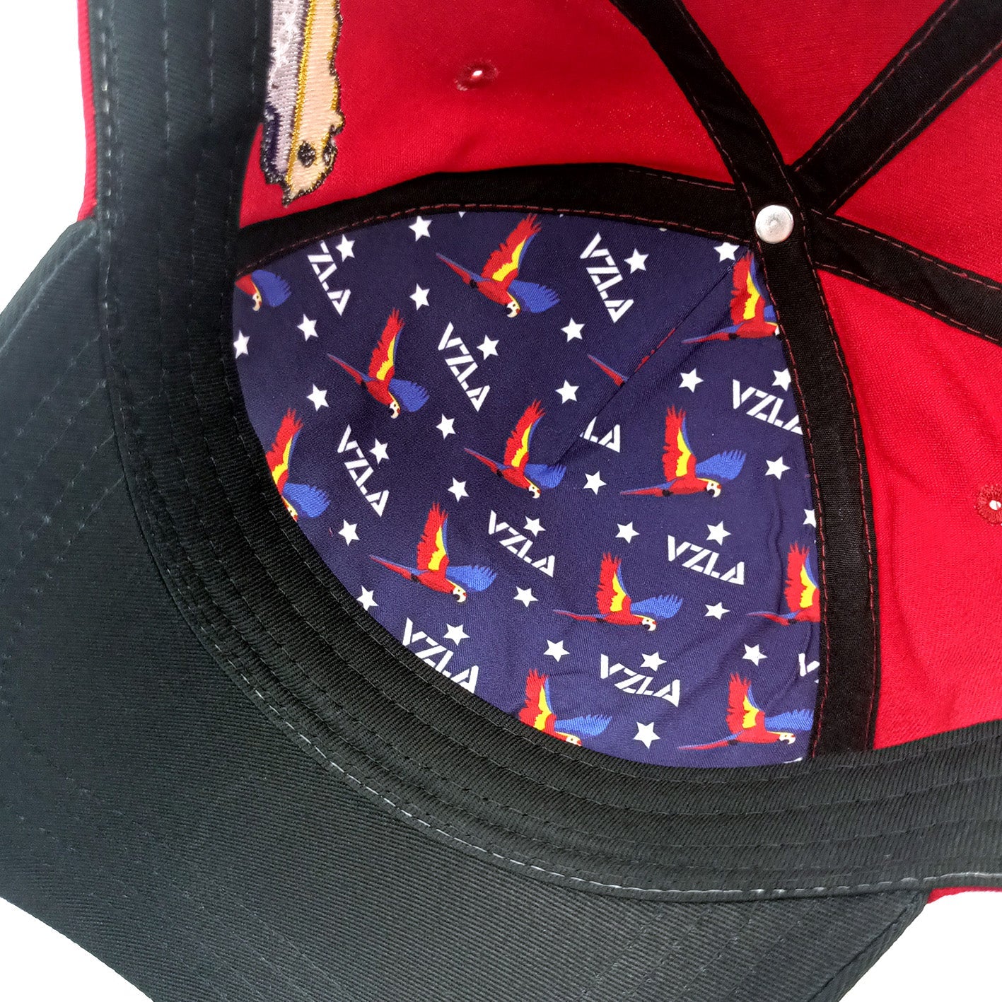 Gorra VZLA x DMC I #240907 I V7