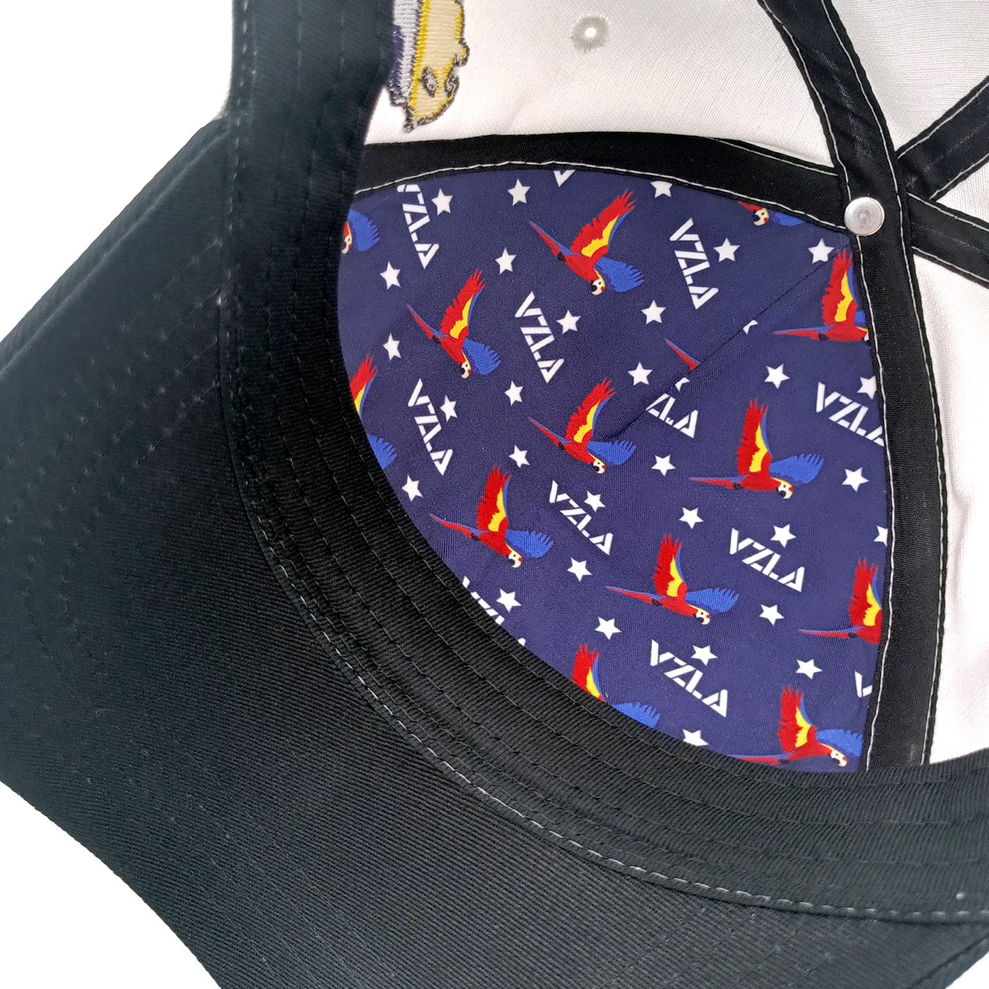 Gorra VZLA x DMC I #240909 I V9